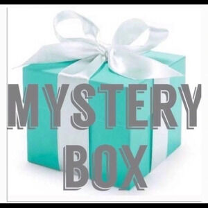 ACCESSORIES HANDBAGS BELT MYSTERY  BOX